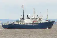 Patrouillenboot zu verkaufen