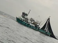 Purse-Seiner zu verkaufen