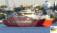Ro-Ro-Schiff zu verkaufen