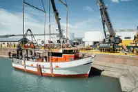 Trawler zu verkaufen