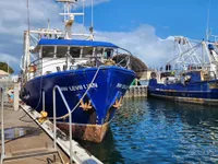 Trawler zu verkaufen