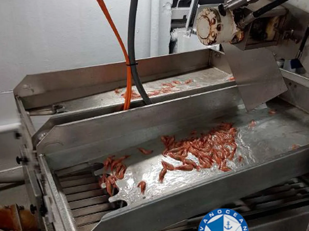 Trawler zu verkaufen