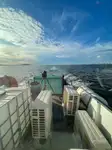 Containerschiff zu verkaufen