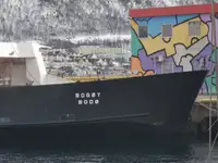 Ro-Ro-Schiff zu verkaufen