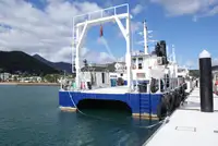 Kreuzfahrtschiff zu verkaufen