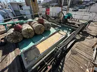 Trawler zu verkaufen