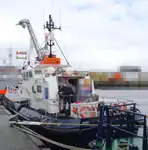 Crew-Boot zu verkaufen