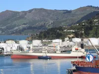 Kühlschiff zu verkaufen