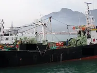Trawler zu verkaufen