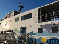 Kreuzfahrtschiff zu verkaufen