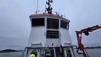 Schleppboot zu verkaufen