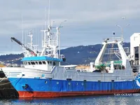 Trawler zu verkaufen