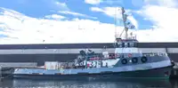 Schleppboot zu verkaufen