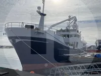 Purse-Seiner zu verkaufen