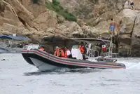 Festrumpfschlauchboot zu verkaufen