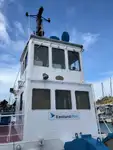 Schleppboot zu verkaufen