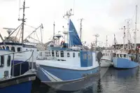 Lebendfischträger zu verkaufen