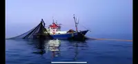 Trawler zu verkaufen