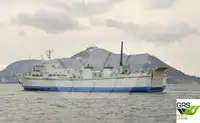 Ro-Ro ship zu verkaufen