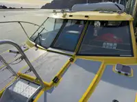 Kreuzfahrtschiff zu verkaufen