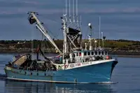 Purse-Seiner zu verkaufen