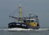 Bagger zu verkaufen