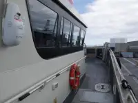 Katamaran zu verkaufen