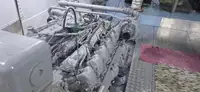Kreuzfahrtschiff zu verkaufen