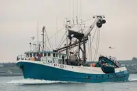 Purse-Seiner zu verkaufen