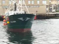Trawler zu verkaufen