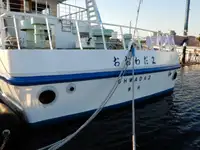 Kreuzfahrtschiff zu verkaufen