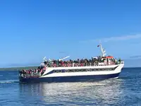 Passagierschiff zu verkaufen