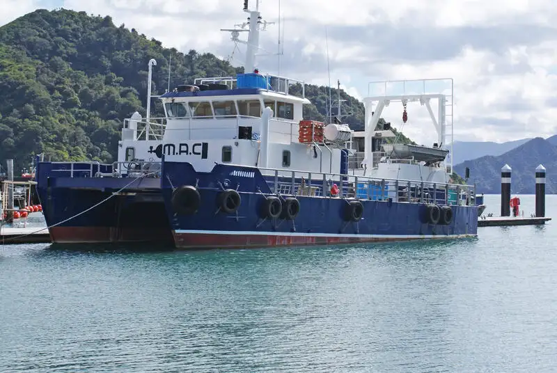 Kreuzfahrtschiff zu verkaufen