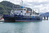 Kreuzfahrtschiff zu verkaufen