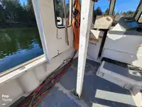 Fischverarbeitungsboot zu verkaufen