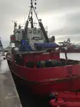 Bagger zu verkaufen