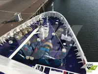 Kreuzfahrtschiff zu verkaufen