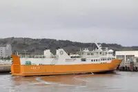 Ro-Ro-Schiff zu verkaufen
