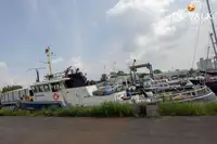Patrouillenboot zu verkaufen