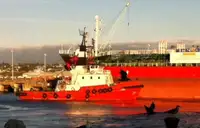 Schleppboot zu verkaufen