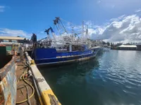 Trawler zu verkaufen