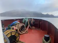 Schleppboot zu verkaufen
