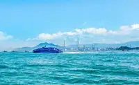 Passagierschiff zu verkaufen