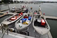 Trawler zu verkaufen