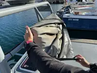 Patrouillenboot zu verkaufen