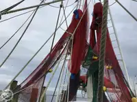 Trawler zu verkaufen
