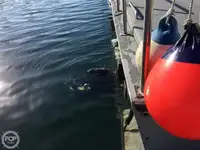Trawler zu verkaufen