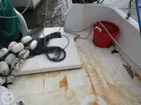 Trawler zu verkaufen