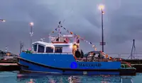 Schlepper zu verkaufen