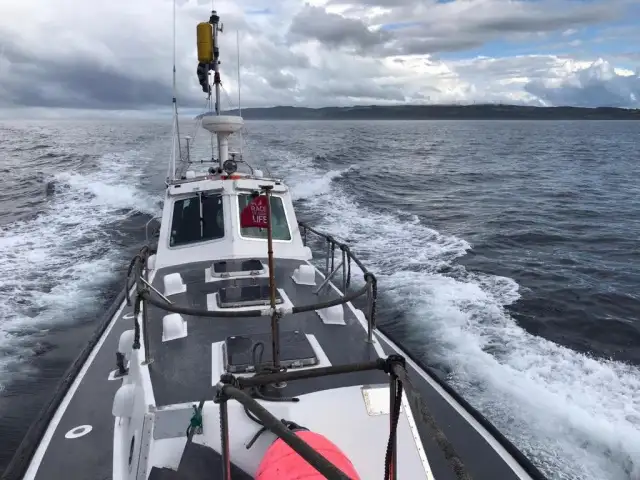 Lotsenboot zu verkaufen